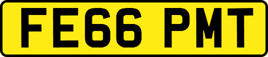 FE66PMT