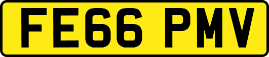 FE66PMV