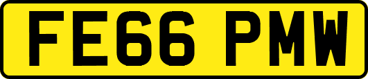 FE66PMW