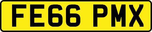 FE66PMX