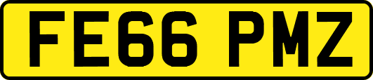 FE66PMZ