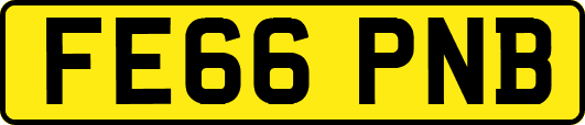 FE66PNB