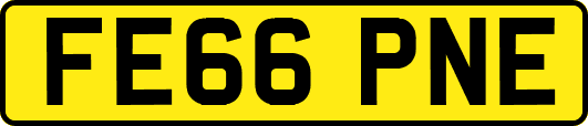 FE66PNE