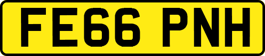 FE66PNH