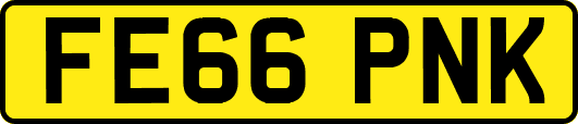 FE66PNK