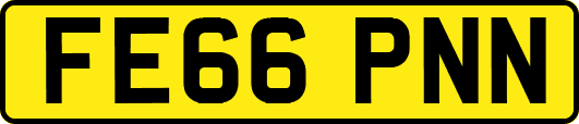 FE66PNN