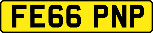 FE66PNP