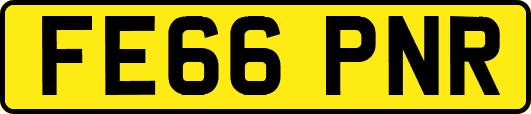 FE66PNR