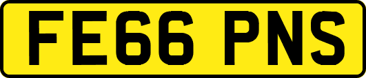 FE66PNS