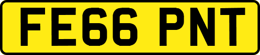 FE66PNT
