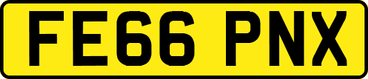 FE66PNX
