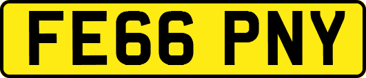 FE66PNY