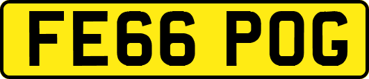 FE66POG