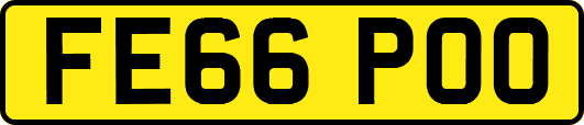 FE66POO