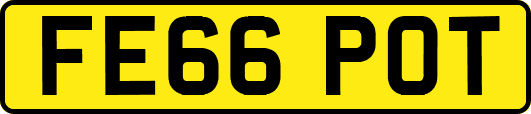 FE66POT