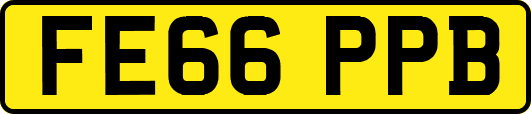 FE66PPB