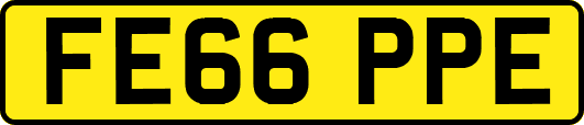 FE66PPE