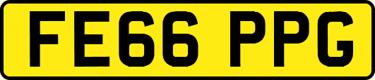 FE66PPG
