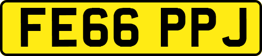 FE66PPJ