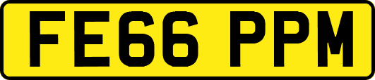 FE66PPM