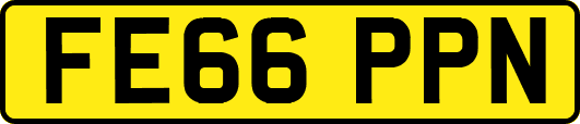 FE66PPN