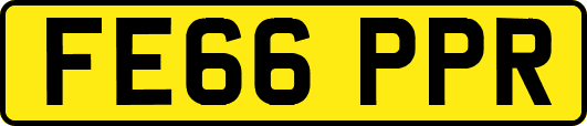 FE66PPR