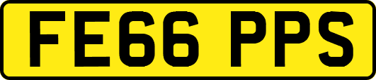 FE66PPS