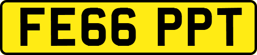 FE66PPT