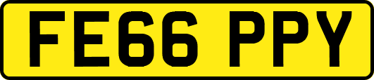 FE66PPY