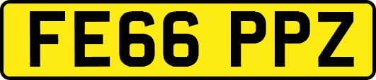 FE66PPZ