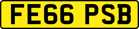 FE66PSB