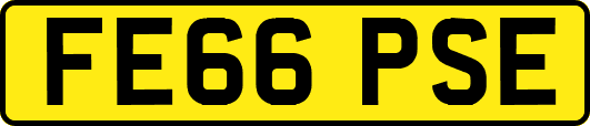 FE66PSE