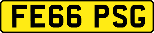 FE66PSG