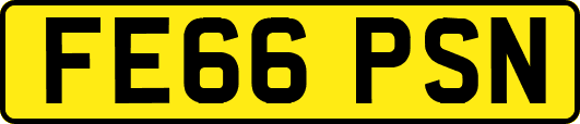 FE66PSN