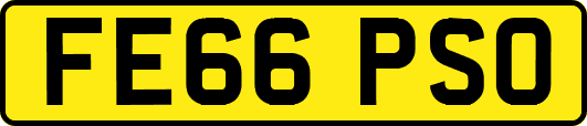 FE66PSO