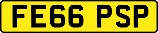 FE66PSP