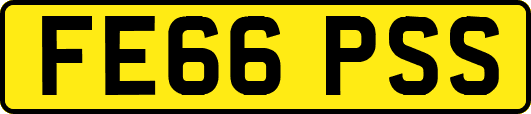 FE66PSS