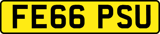 FE66PSU