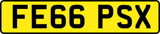 FE66PSX