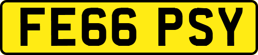 FE66PSY