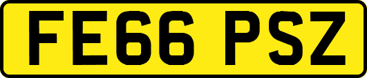 FE66PSZ