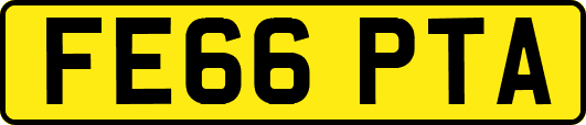 FE66PTA