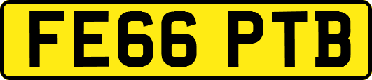 FE66PTB