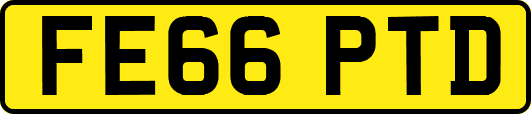 FE66PTD