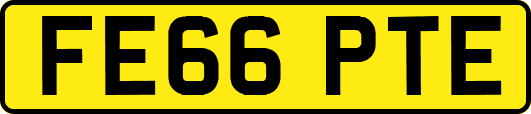 FE66PTE