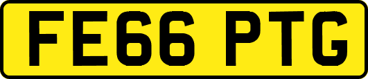 FE66PTG