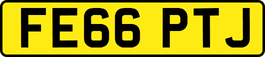 FE66PTJ