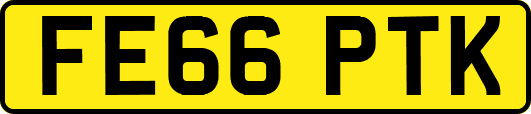 FE66PTK