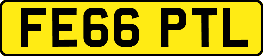 FE66PTL