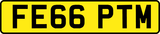 FE66PTM